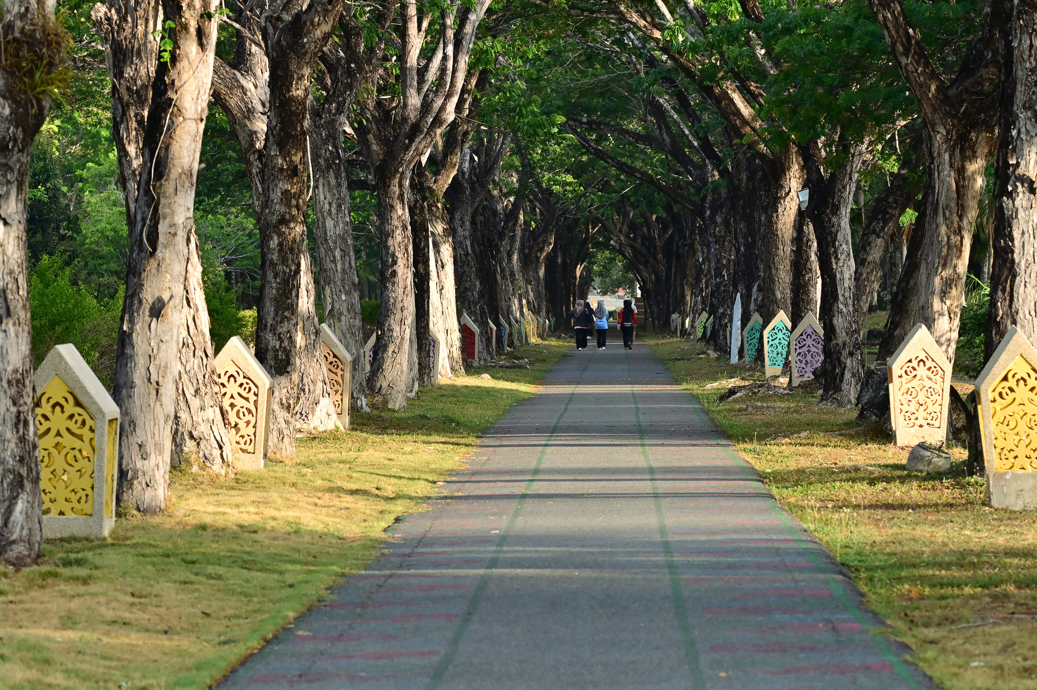 森林のような木立の中に複数の遊歩道があるチョグム公園
